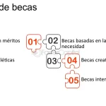 descubre los diferentes tipos de becas disponibles encuentra la tuya