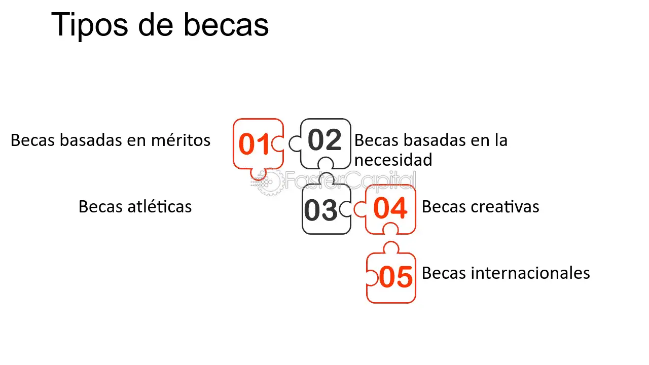 descubre los diferentes tipos de becas disponibles encuentra la tuya